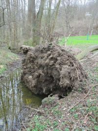 Sturmtief "Eberhard"