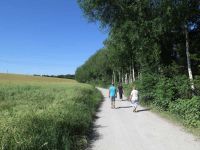 Sommerfest in der Kleingartensparte