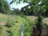 Sommerfest in der Kleingartensparte
