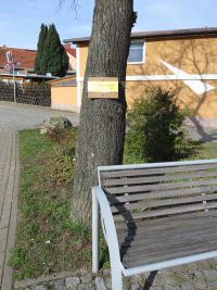 Coronavirus-Information