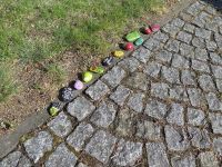 Steinausstellung Hochstedt