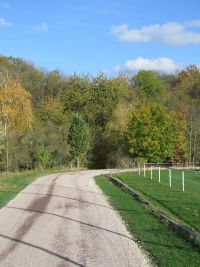 Weg zum Sportplatz