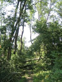 Unwetterschäden in Hochstedt