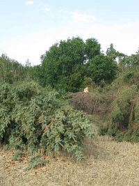 Unwetterschäden in Hochstedt