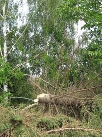 Unwetterschäden in Hochstedt