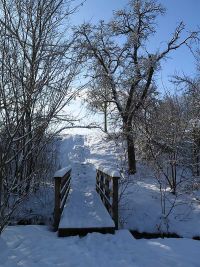 Winterspaziergang im Januar
