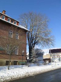 Winterspaziergang im Januar