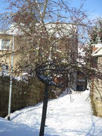 Winterspaziergang im Januar