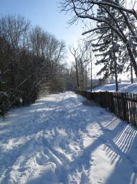 Winterspaziergang im Januar