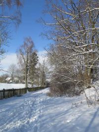 Winterspaziergang im Januar