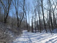 Winterspaziergang im Januar