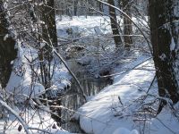 Winterspaziergang im Januar