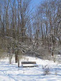 Winterspaziergang im Januar