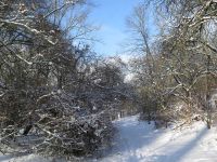 Winterspaziergang im Januar