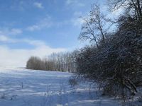 Winterspaziergang im Januar
