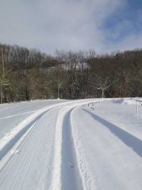 Winterspaziergang im Januar