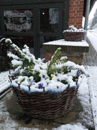 Wintereinbruch 14.3.2025