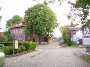 Ligusterhecke am Platz