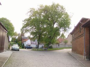 Platz vor der Umgestaltung