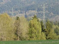 Bestehende Leitung durch den Thüringer Wald