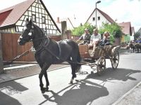 Pferdewagen aus Magdala