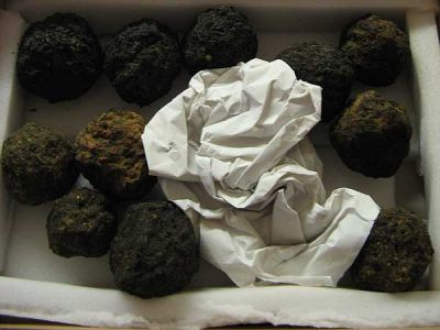 Waidballen für Görlitz