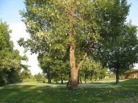 Schnee bei sommerlichen Temperaturen