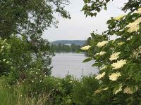 Blick vom Ufer auf die Moldau