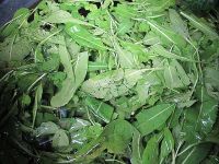 Waidblätter waschen