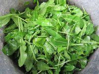 Waidblätter abtropfen lassen