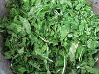 Waidblätter zerschneiden