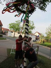 Aufstellen des Maibaums
