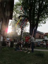Aufstellen des Maibaums