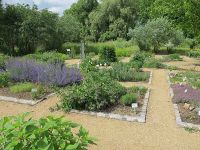 Im Garten des Verein hortus amabilis e.V.