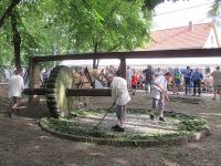 Waidmühle in Bewegung