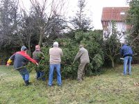 Bergung des Weihnachtsbaums
