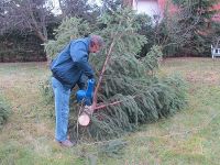 Bergung des Weihnachtsbaums