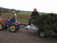 Abtransport des Weihnachtsbaums