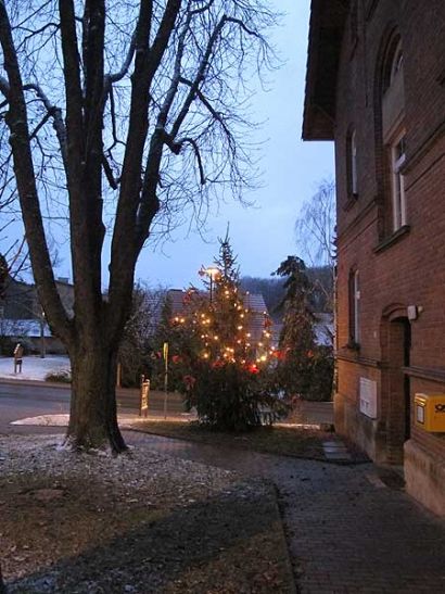 Weihnachtsbaum am 1. Advent