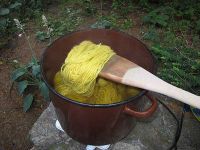 Färberei mit Birkenblättern