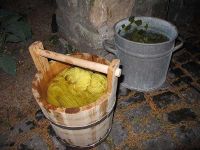 Färberei mit Birkenblättern