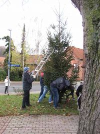 Weihnachtsbaumaufstellen