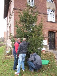 Weihnachtsbaumaufstellen
