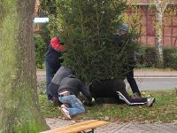 Weihnachtsbaumaufstellen