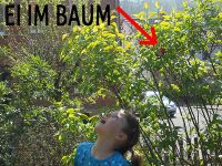 Ostereierfinden 2014