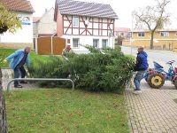 Weihnachtsbaumsetzen