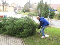 Weihnachtsbaumsetzen