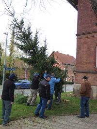 Weihnachtsbaumsetzen