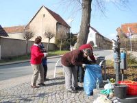 Bau der Osterkrone von 2016