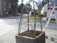 Bau der Osterkrone von 2016